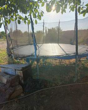 Дом 70м², 1-этажный, участок 35 сот.