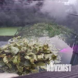 Дом 40м&sup2;, 1-этажный, посуточно, 