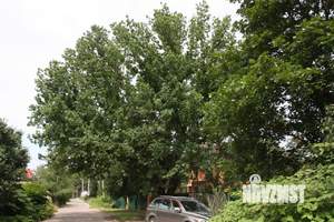Дом 119м², 2-этажный, участок 14 сот.  