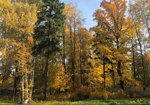 Дом 227м&sup2;, 2-этажный, участок 19 сот.  