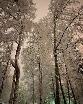 Дом 227м&sup2;, 2-этажный, участок 19 сот.  