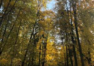 Дом 227м&sup2;, 2-этажный, участок 19 сот.  