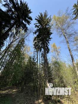 Дом 163м&sup2;, 2-этажный, участок 50 сот.  