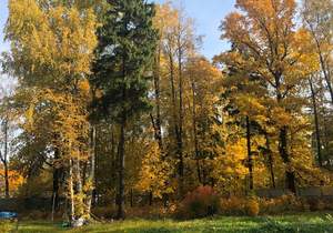 Дом 227м&sup2;, 2-этажный, участок 19 сот.  