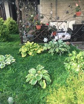 Дом 160м², 4-этажный, участок 1 сот.  