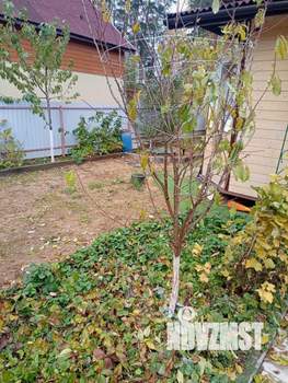 Дом 100м&sup2;, 2-этажный, участок 4 сот.  