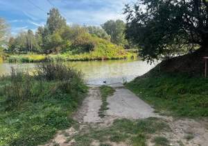 Дом 100м², 2-этажный, участок 6 сот.  