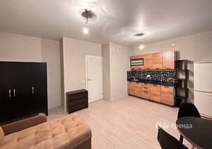 Студия квартира, на длительный срок, 30м2, 13/23 этаж