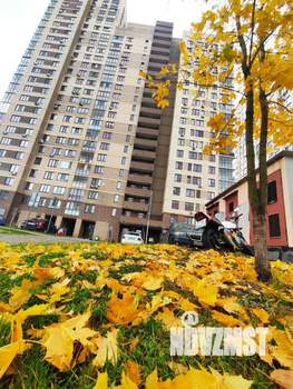 1-к квартира, на длительный срок, 33м2, 11/17 этаж