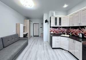 Студия квартира, на длительный срок, 24м2, 11/23 этаж