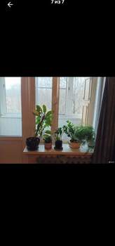 2-к квартира, на длительный срок, 65м2, 6/9 этаж