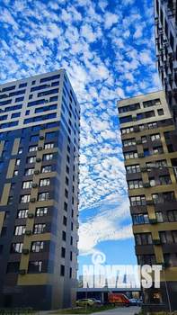 Студия квартира, на длительный срок, 31м2, 2/22 этаж