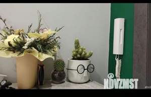 2-к квартира, вторичка, 55м2, 15/23 этаж