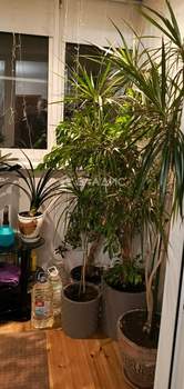 1-к квартира, вторичка, 44м2, 19/19 этаж