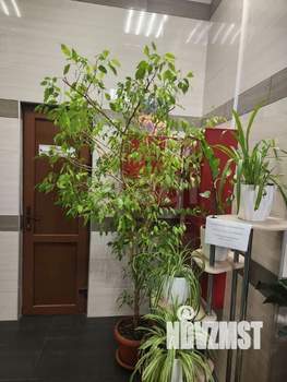 2-к квартира, вторичка, 53м2, 10/25 этаж