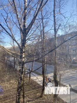 Фото квартиры на продажу (8)